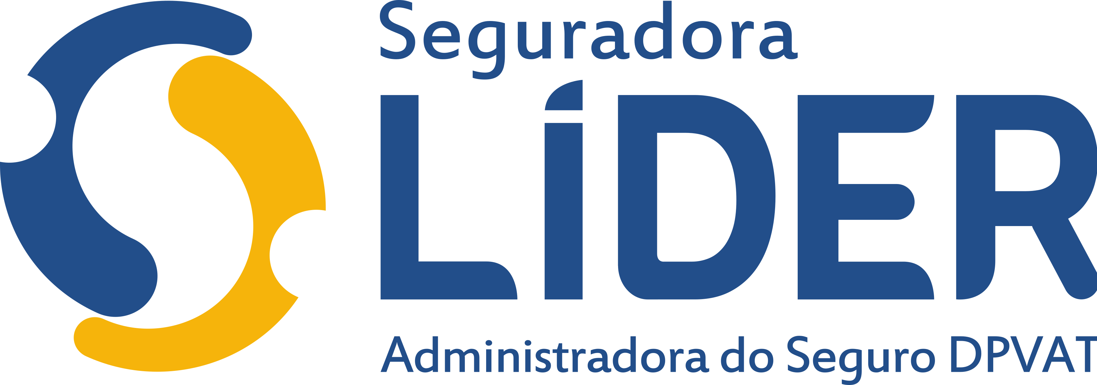 Seguradora Líder